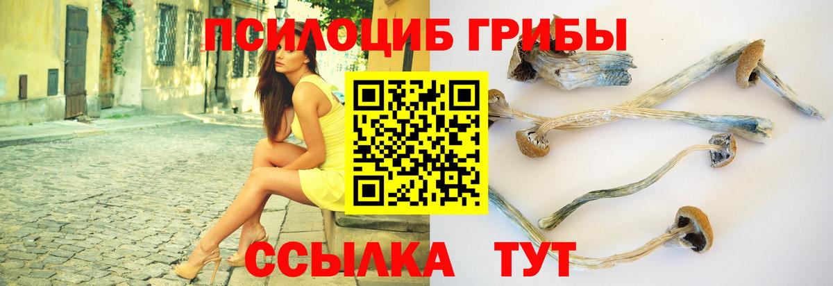 Псилоцибиновые грибы мухоморы Лыткарино