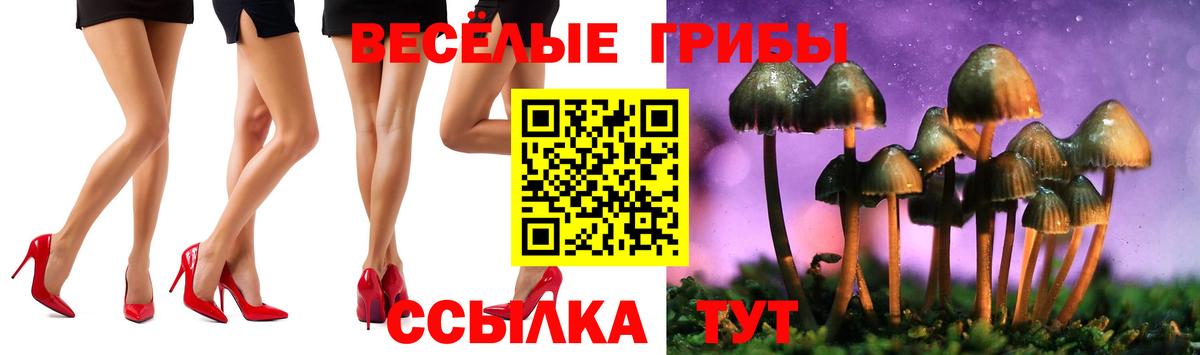 Псилоцибиновые грибы Psilocybe  Вход с VPN  Лыткарино 
